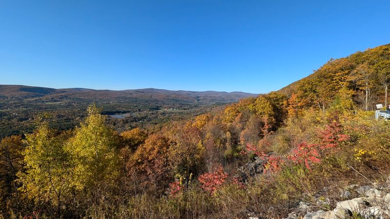 The View That Stops Traffic