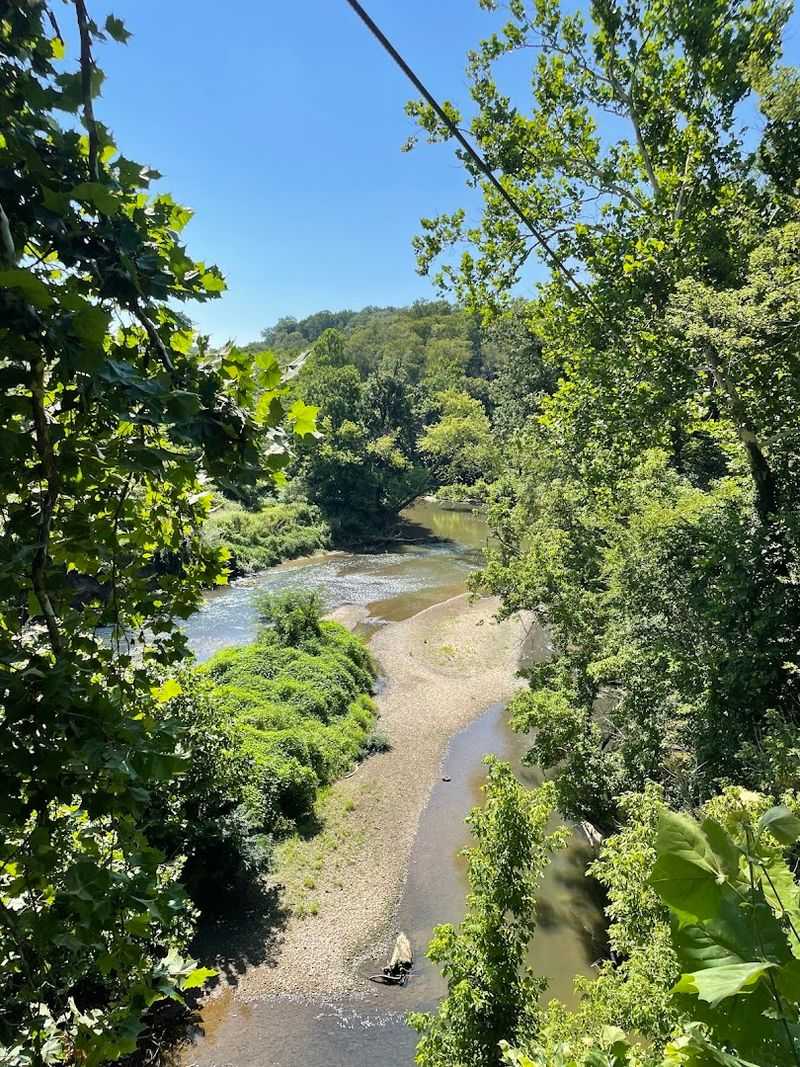 The Views From Up in the Canopy
