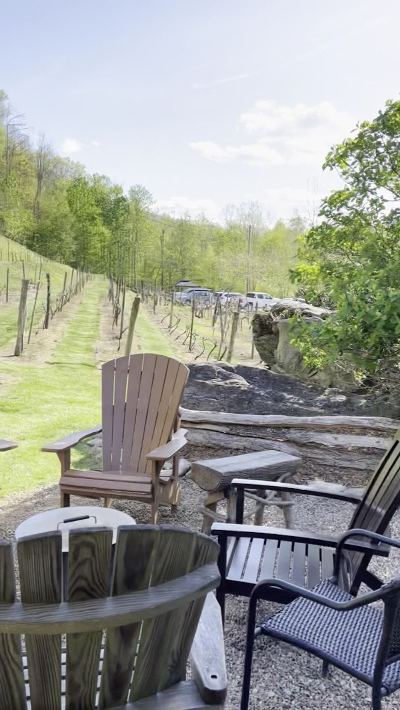 The Vineyard Grounds and Mountain Views