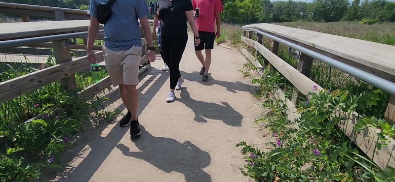 The Walk Down to the Water