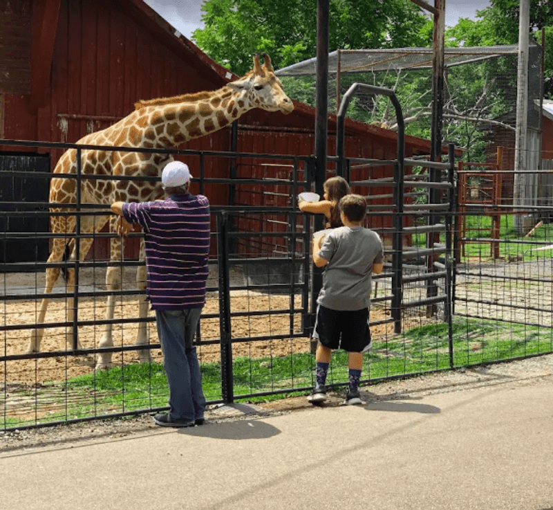 The Walk-Through Zoo: A Whole Second Experience The Walk-Through Zoo: A Whole Second Experience