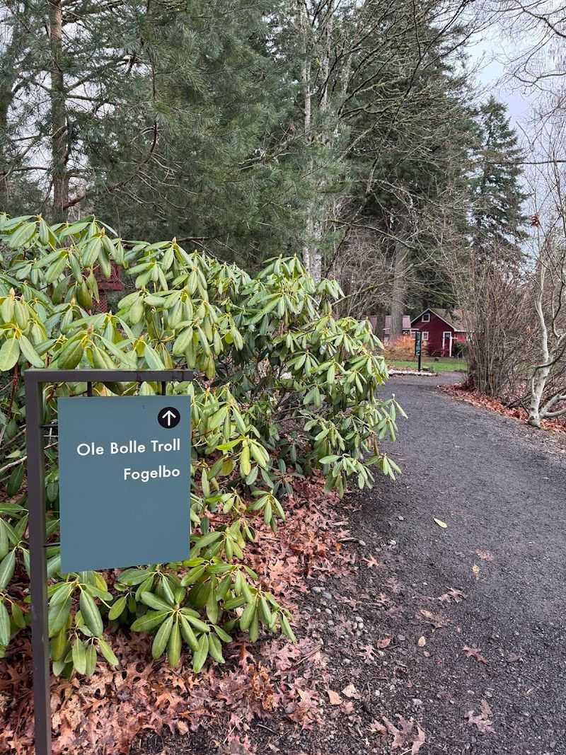 The Walk to Ole Bolle: Trail, Terrain, and What to Expect
