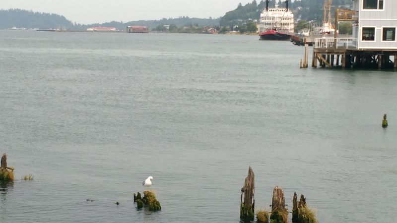 The Walking Promenade Along the Waterfront