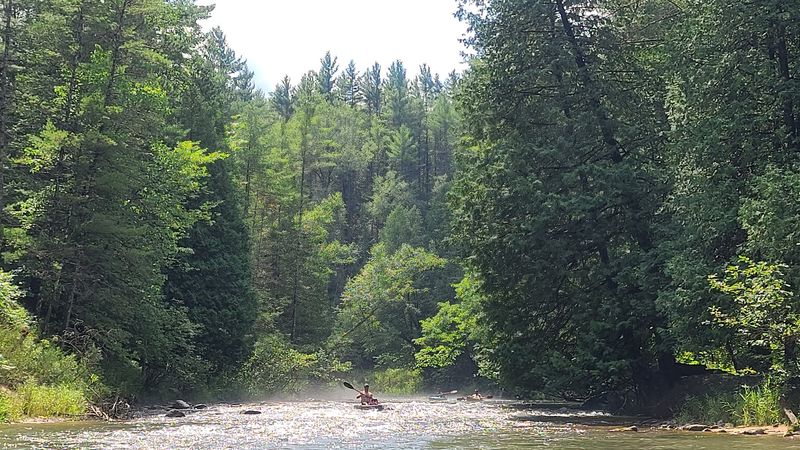 The Water Clarity That Stops Paddlers Mid-Stroke The Water Clarity That Stops Paddlers Mid-Stroke