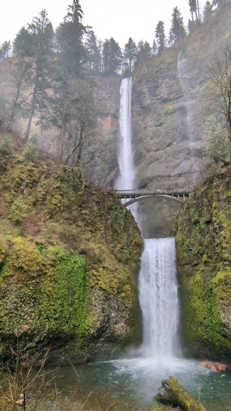 The Waterfall Parade Along Multnomah Creek The Waterfall Parade Along Multnomah Creek