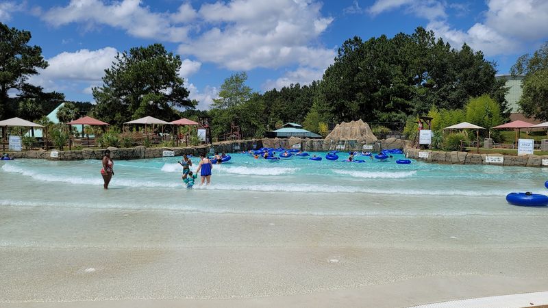 The Wave Pool: Riding the Rhythm of the Water