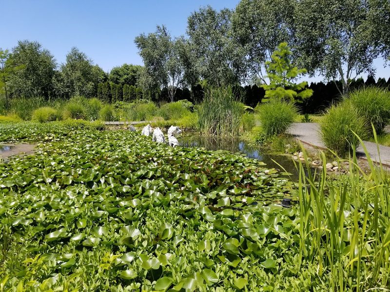 The Wetlands: Where Wildlife Steals the Show The Wetlands: Where Wildlife Steals the Show