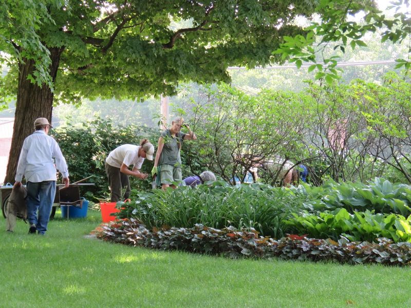 The Woman Behind the Garden and the Story That Makes It Personal The Woman Behind the Garden and the Story That Makes It Personal