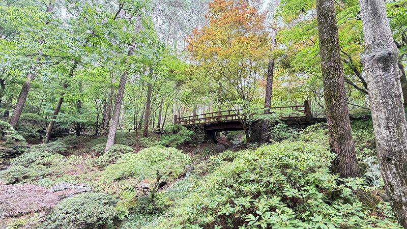 The Wooded Trails That Make Every Walk Feel Like a Discovery