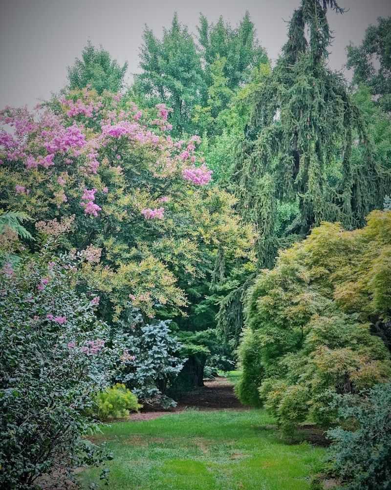The Worrilow Hall Gardens and Their Woody Wonders