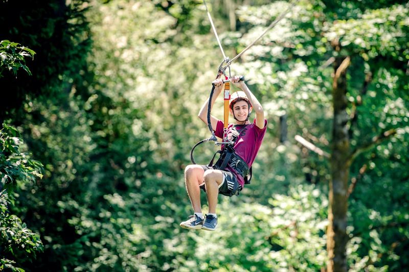 The Zip Lines That Steal the Show The Zip Lines That Steal the Show