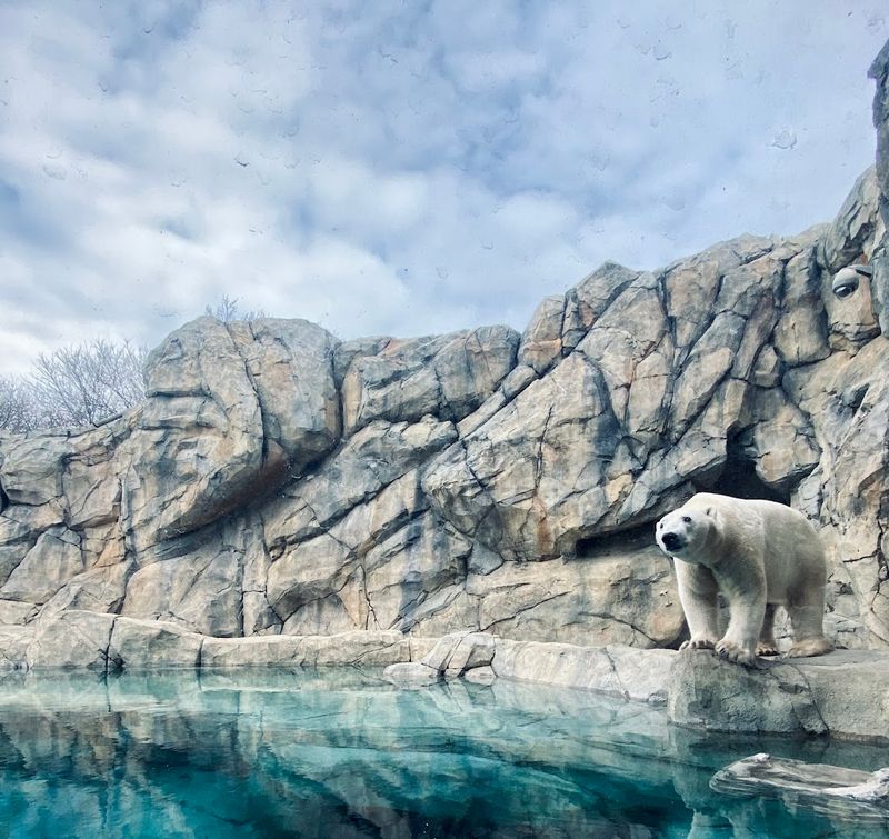 The Zoo That Started a Revolution: Address, Location, and Legacy The Zoo That Started a Revolution: Address, Location, and Legacy