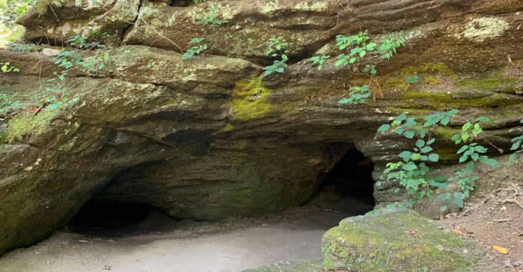 There’s a Cave in North Carolina That Plunges 140 Feet Underground and You Can Explore It for Free