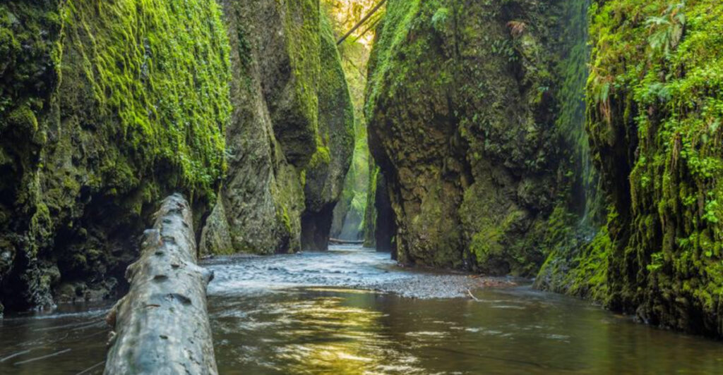 These 10 Oregon Swimming Holes Are So Secret, Locals Might Not Tell You Where They Are