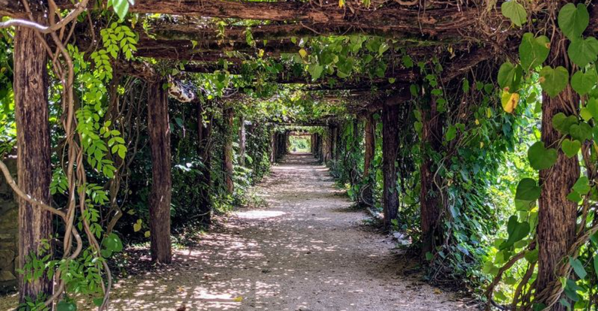 These 11 Hidden Gardens in North Carolina Are Filled With Quiet Paths and Storybook Scenery