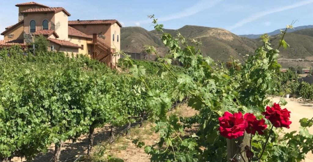 These 12 Lesser-known Wine Destinations in California Are Quietly Becoming the Next Great Culinary Hot Spots