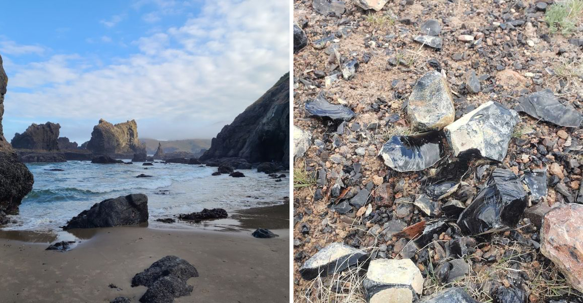 These 12 Oregon Destinations Are Where Fossils, Beach Glass, and Hidden Finds Await