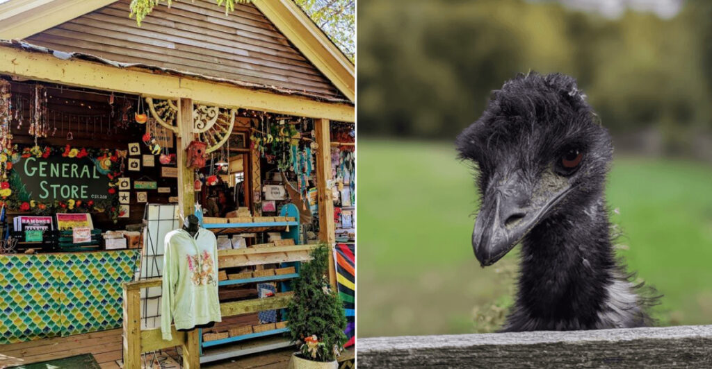This 19th-Century Charlestown Farmyard Became Rhode Island’s Most Unusual Shopping Village