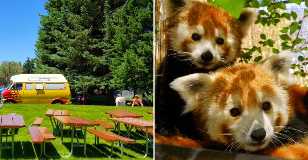 This 84-Acre Idaho Falls Park Has a Zoo, Vintage Rides, Ice Skating, and Fun for Every Season