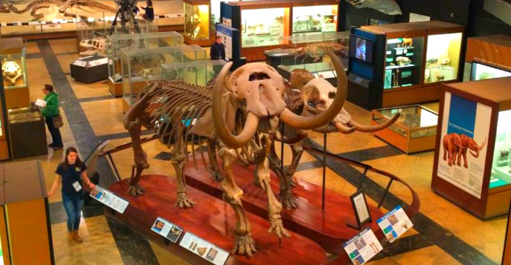 This Ann Arbor Museum Has a Towering Dinosaur and Free Admission