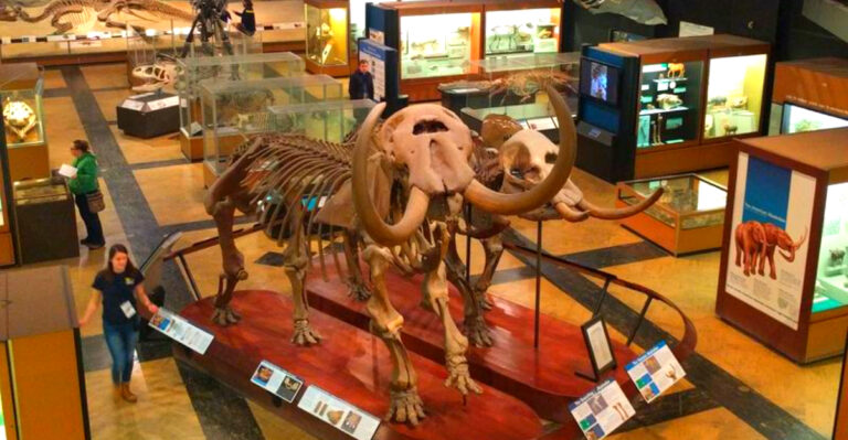 This Ann Arbor Museum Has a Towering Dinosaur and Free Admission