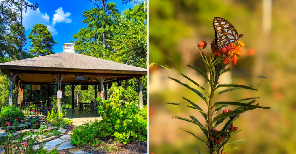 This Arkansas Arboretum Is the Only State Park Located Inside a City – and Most Travelers Have Never Heard of It