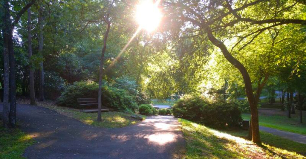 This Arkansas Community Park Has Creekside Trails, Small Waterfalls, and a Hidden Outdoor Art Walk