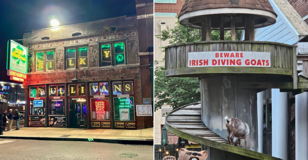 This Beale Street Bar in Memphis Has Live Goats, Amazing Foods, Dueling Pianos And A One-Gallon Diver