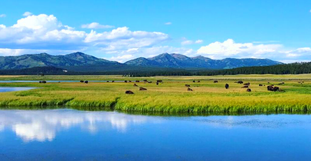 This Charming Montana Garden Welcomes Visitors With Stunning Mountain Views at Yellowstone’s Only Year-Round Entrance