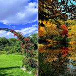 This Dreamy Massachusetts Arboretum Looks Like It Was Painted By Claude Monet