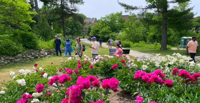 This Free 123-Acre Nature Area in Ann Arbor Has Rare Peony Gardens, River Trails, and Hidden Fairy Homes