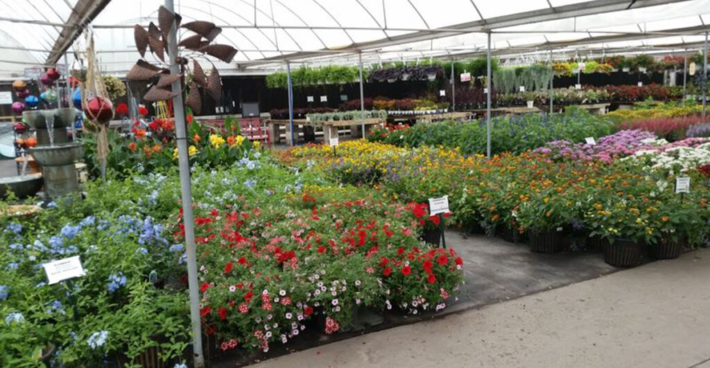 This Giant Oklahoma Pottery Outlet Lets You Fill Your Garden Without Emptying Your Wallet