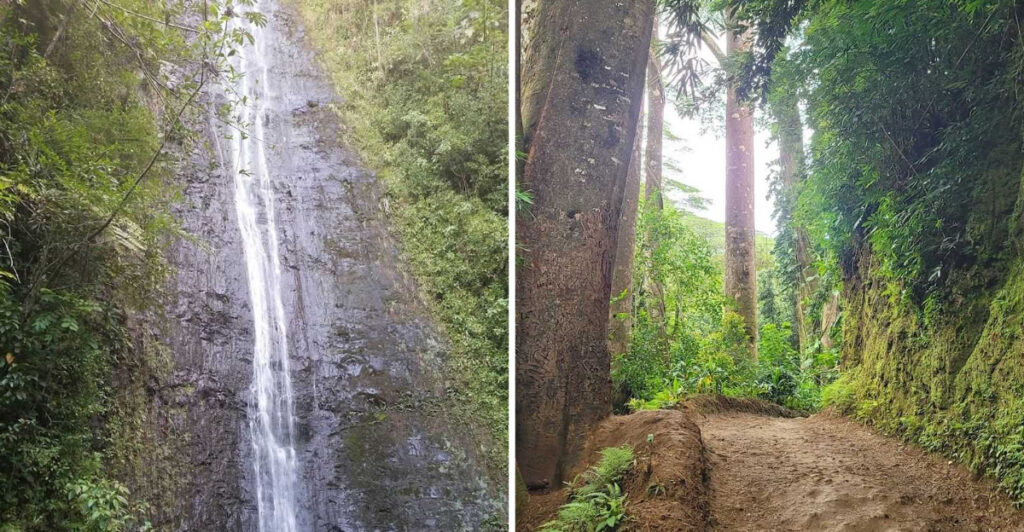 This Hawaii Trail Leads to a 150-Foot Waterfall Through a Movie-Famous Rainforest