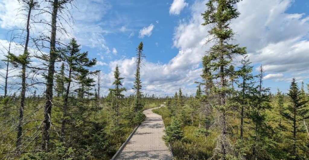 This Hidden Minnesota Wilderness Feels Like Stepping Into Another World Entirely