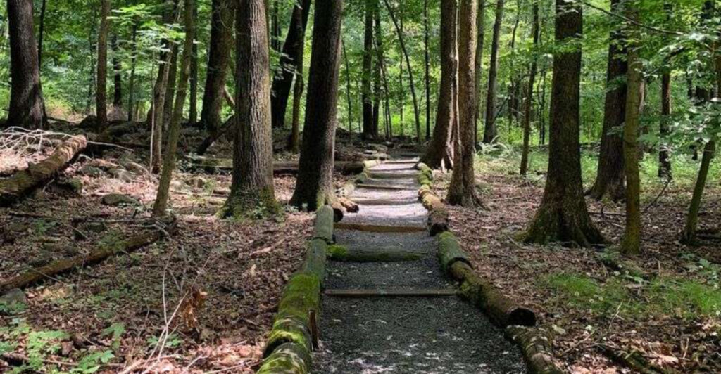 This Hidden New Jersey Sanctuary Is A Natural Wonder Few People Ever See