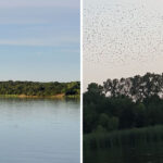 This Hidden Oklahoma Lake Operates Like a Private Community With Memberships Dating to the 1940s