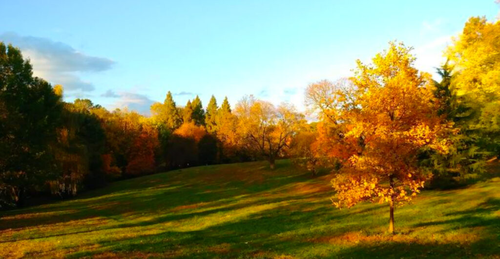 This Hidden Philadelphia Arboretum Feels Like a 55-Acre English Countryside Estate Tucked Inside the City
