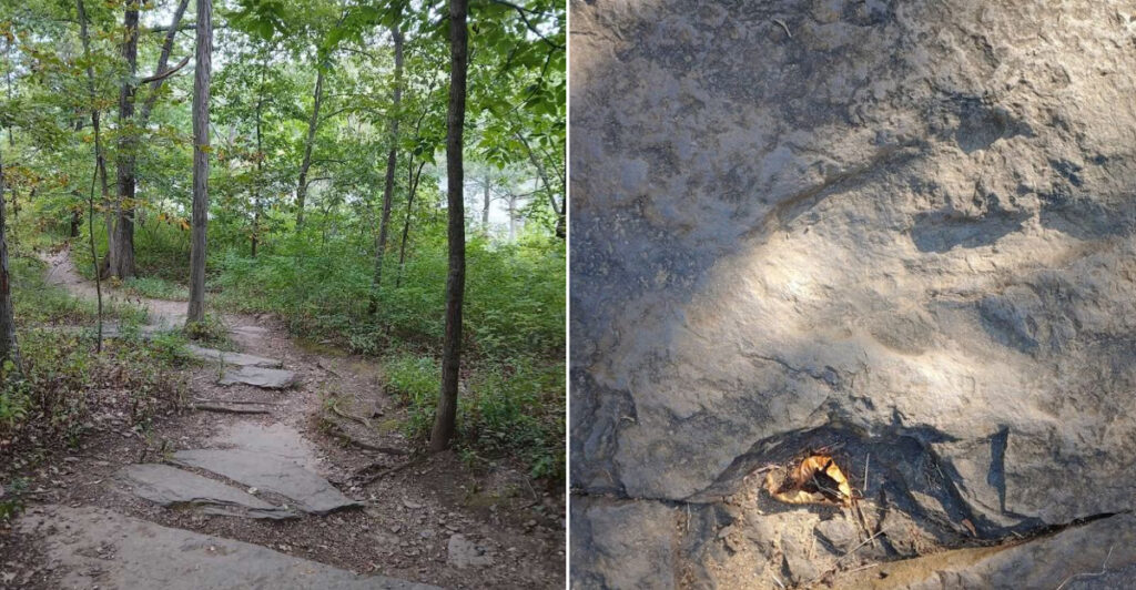 This Holyoke Trail Leads To The First Dinosaur Prints Ever Scientifically Described