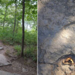 This Holyoke Trail Leads To The First Dinosaur Prints Ever Scientifically Described