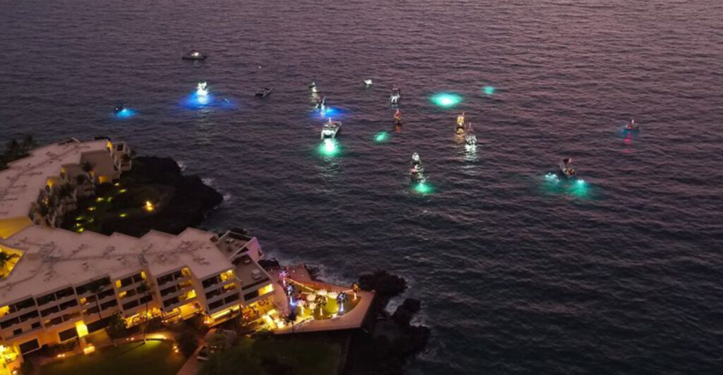 This Kona Tour Lets You Swim With Giant Manta Rays After Dark