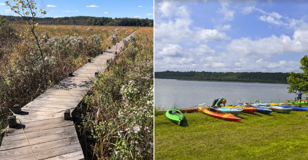 This Maryland Sanctuary Protects One Of The East Coast’s Largest Freshwater Tidal Wetlands
