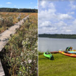 This Maryland Sanctuary Protects One Of The East Coast’s Largest Freshwater Tidal Wetlands