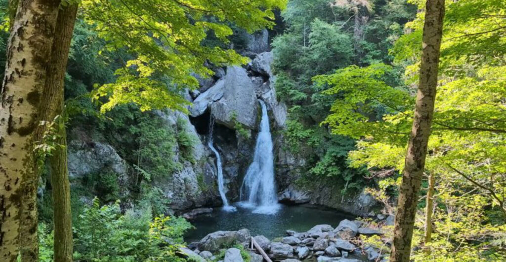 This Massachusetts Falls Trail Rewards Hikers With A Wide Emerald Plunge Pool