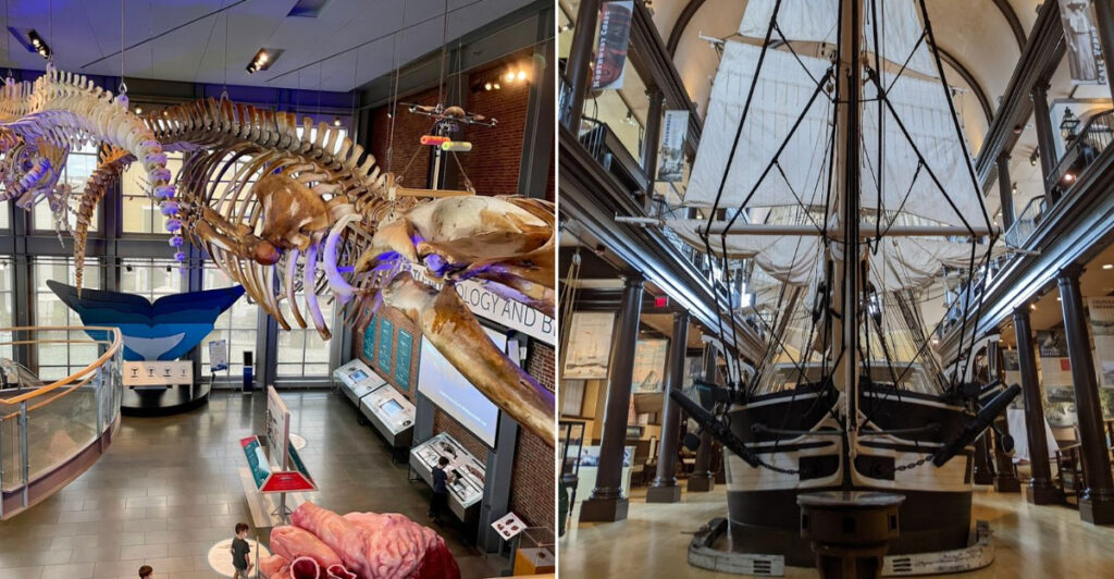This Massachusetts Museum Has the World’s Largest Whaling Ship Model Inside