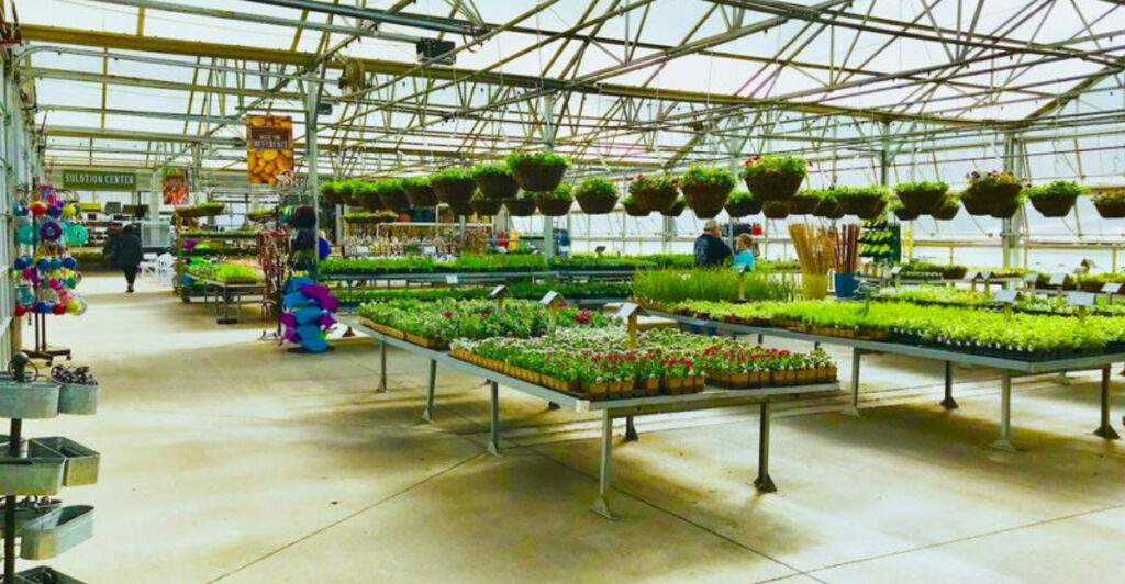 This Massive Oklahoma Greenhouse Is Home to 90,000 Square Feet of Botanical Beauty