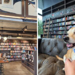 This Minneapolis Bookstore Is Winning Over Readers With Its Expertly Curated Shelves