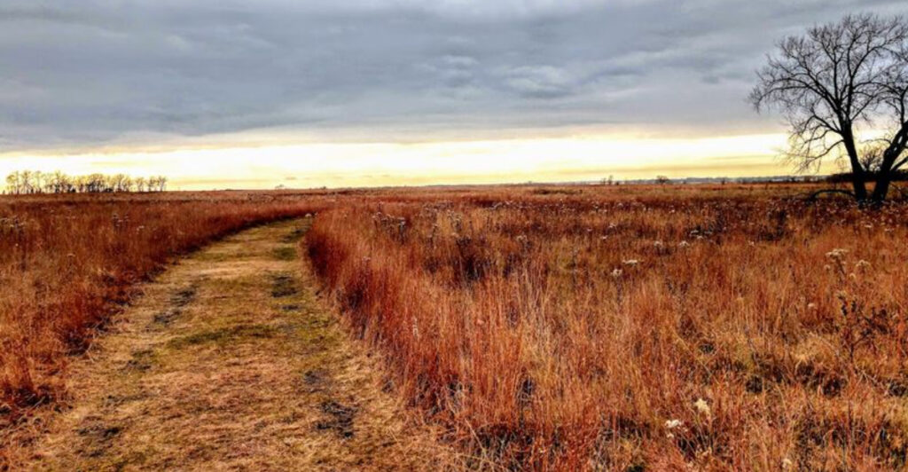 This Minnesota State Park Protects One Of The Last Great Tallgrass Prairies