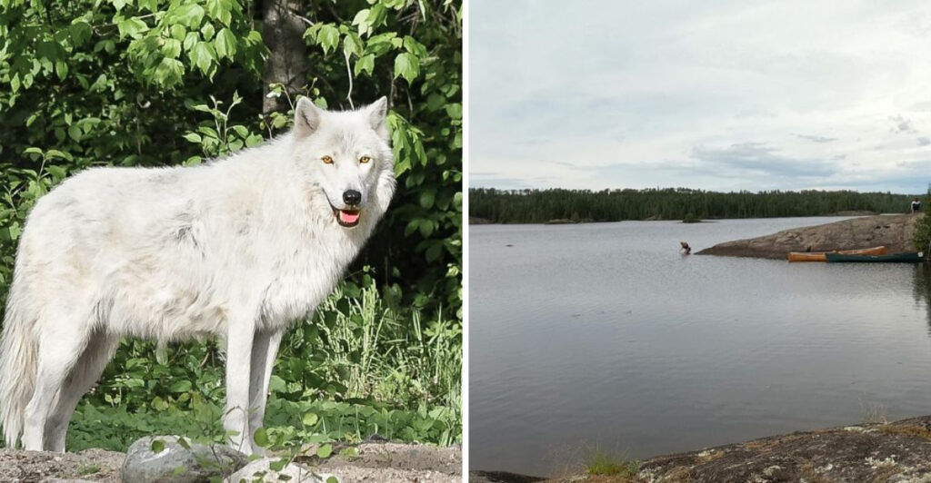 This Minnesota Town Is the Gateway to America’s Most Famous Wilderness