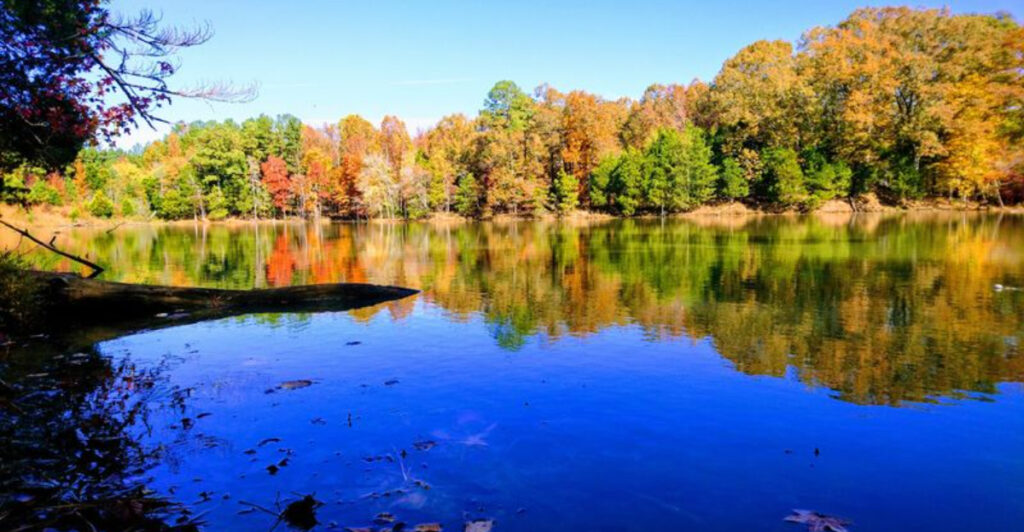 This Mississippi Rail Trail Offers A Scenic Escape Just Minutes From Ole Miss