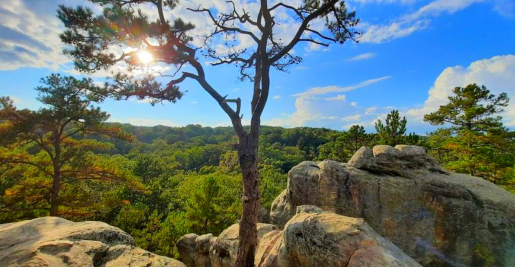 This Missouri Nature Area Has Slot Canyons, Ancient Sandstone, and One of the Most Surprising Hikes in the Midwest